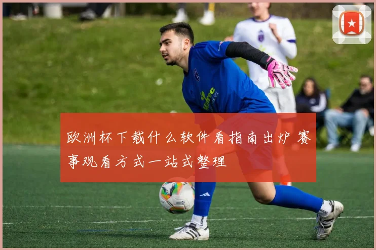 欧洲杯下载什么软件看指南出炉 赛事观看方式一站式整理
