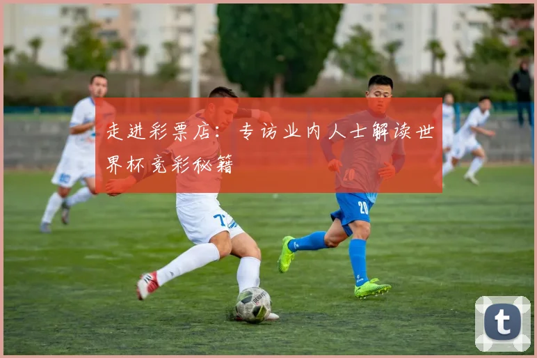 走进彩票店：专访业内人士解读世界杯竞彩秘籍