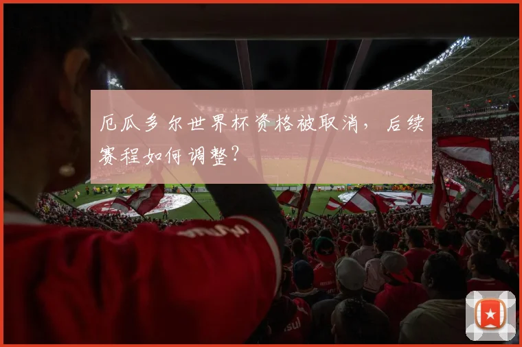 厄瓜多尔世界杯资格被取消，后续赛程如何调整？