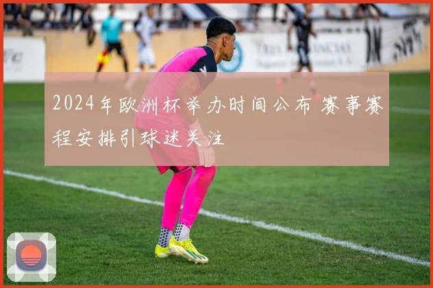 2024年欧洲杯举办时间公布 赛事赛程安排引球迷关注