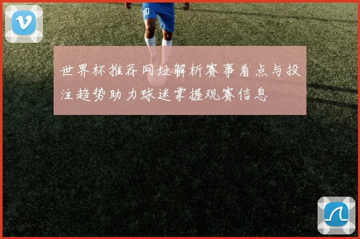 世界杯推荐网址解析赛事看点与投注趋势助力球迷掌握观赛信息